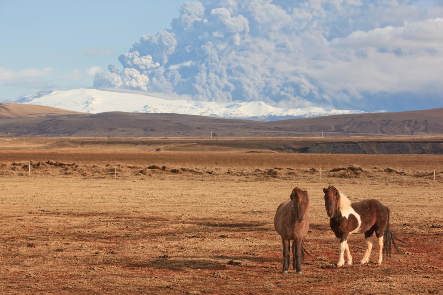 Iceland horses and volcano eruption